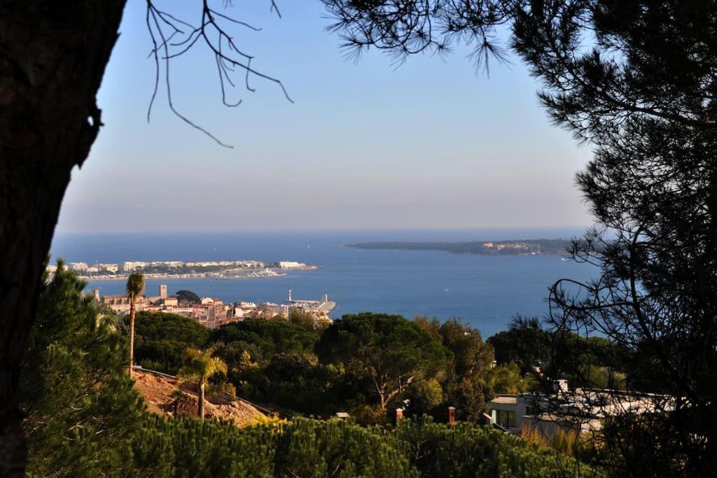 Cannes Beach And Festival Palais エクステリア 写真