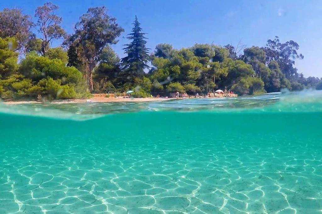 Cannes Beach And Festival Palais エクステリア 写真