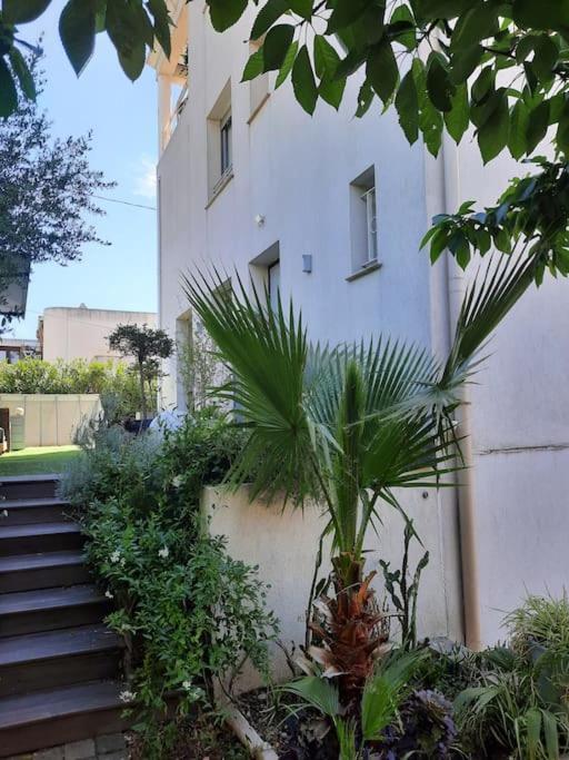 Cannes Beach And Festival Palais エクステリア 写真
